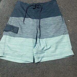 Men's Striped Swim Shorts - Blue and Green